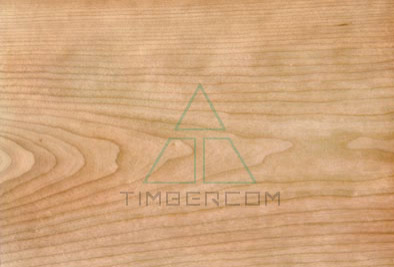 LUMBER. CLOSE VIEW